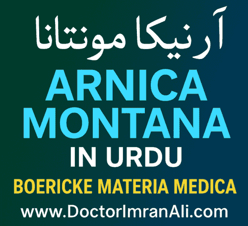 Arnica Montana Key Symptoms and Uses