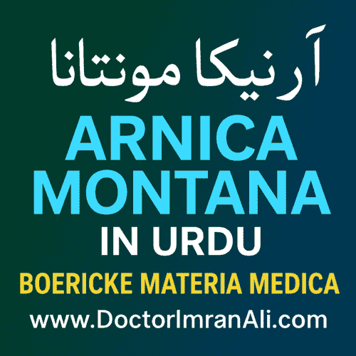Arnica Montana Key Symptoms and Uses