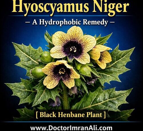 Hyoscyamus Niger A Hydrophobic Remedy of Homeopathy