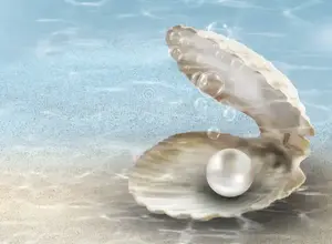 Oyster Shell Calcarea Carb